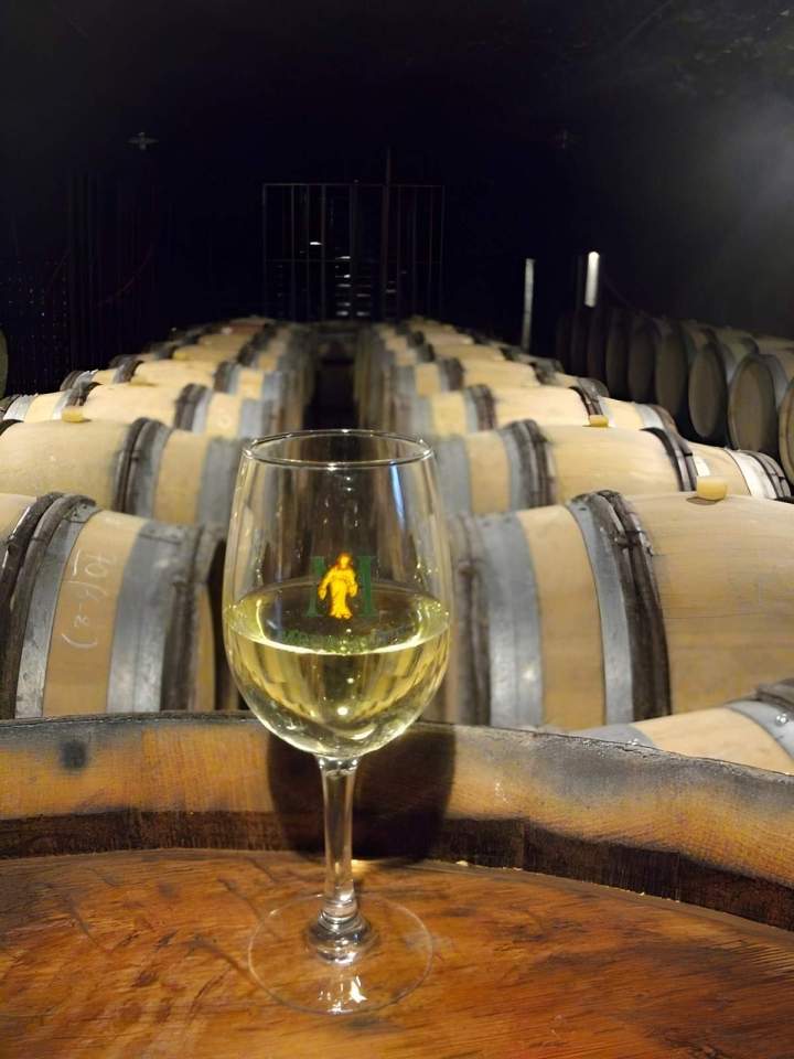 White wine sales Meursault