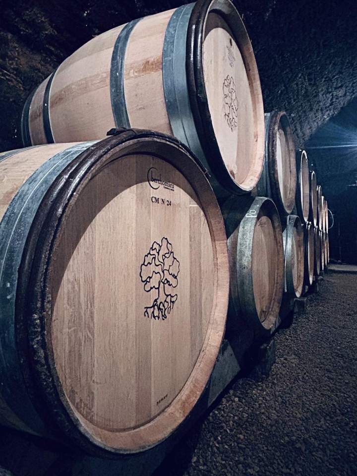 Tonneaux Meursault