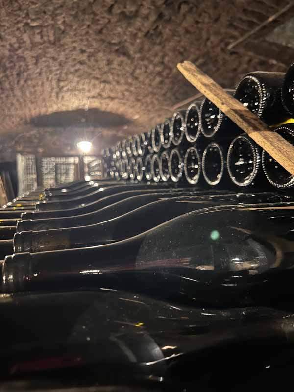 Nos vins rouges