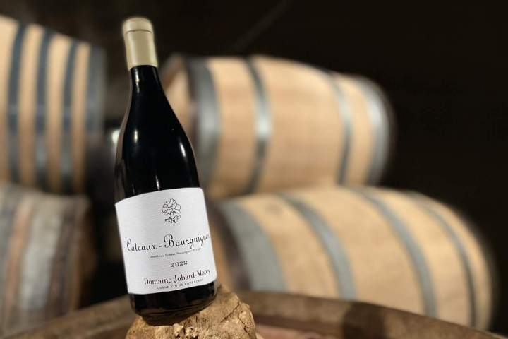 Coteaux-Bourguignons