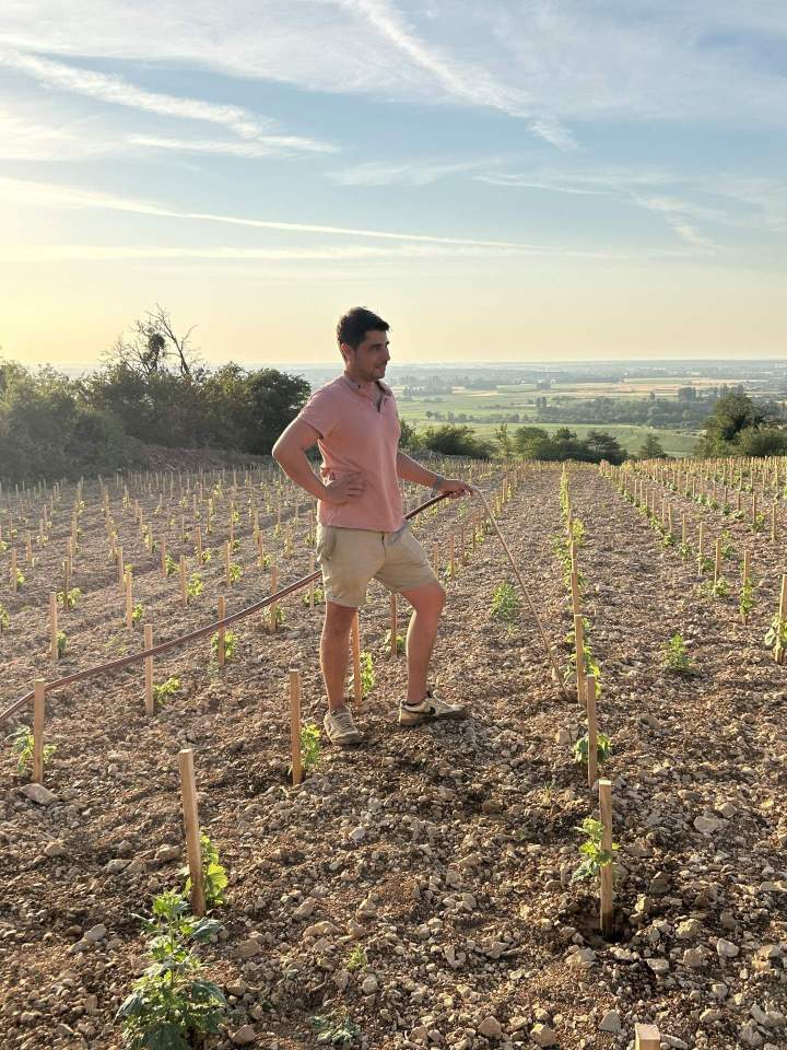 Tonneaux Meursault