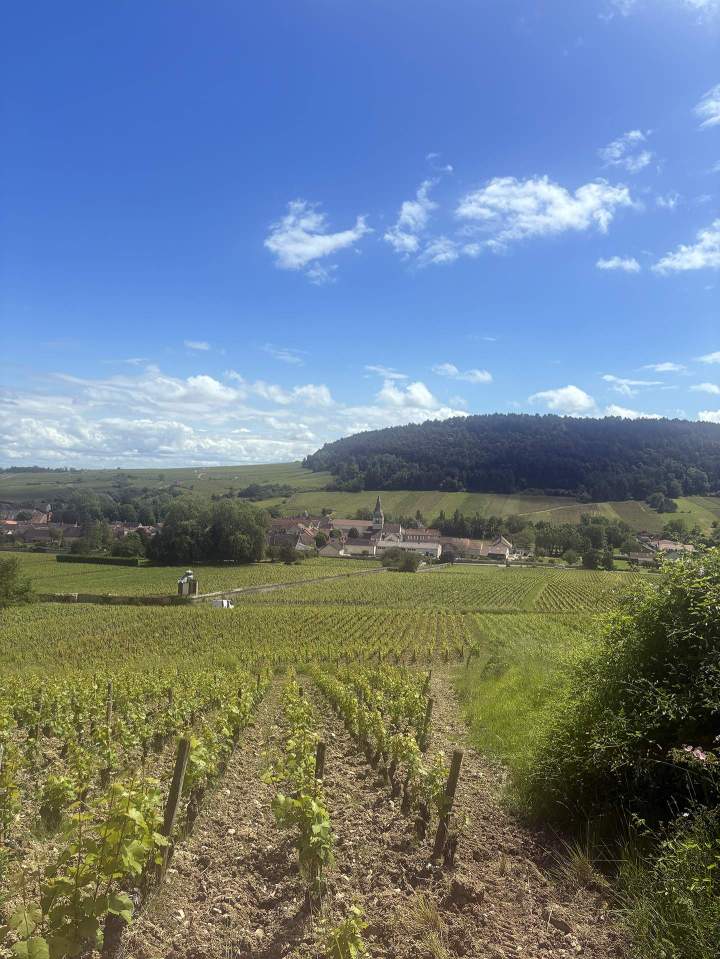 village de Meursault