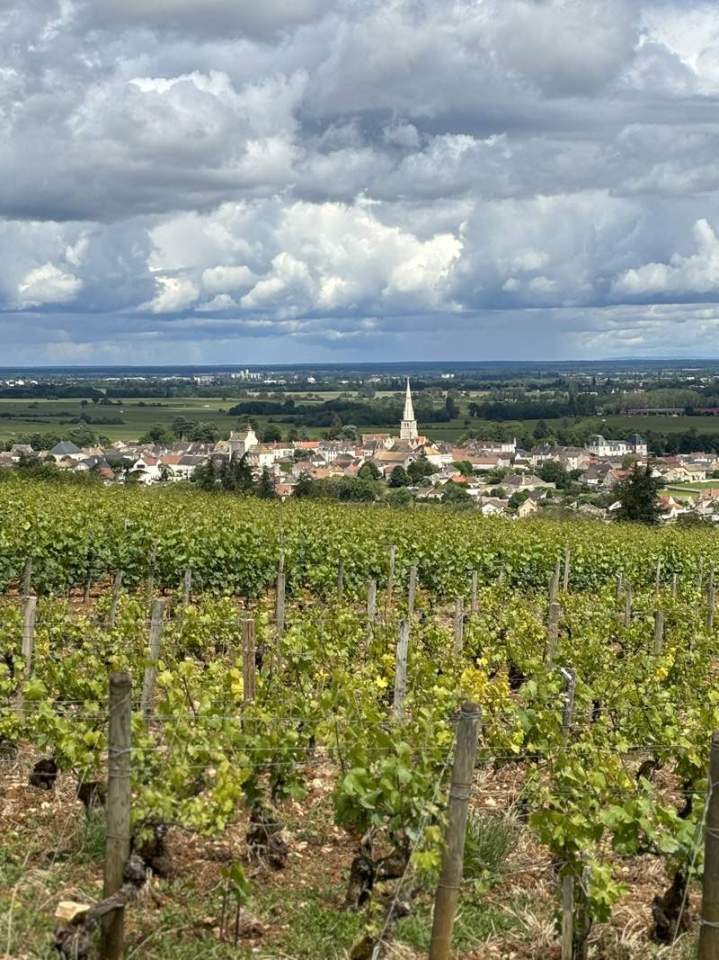 village de Meursault